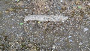 Patsy O'Connor grave