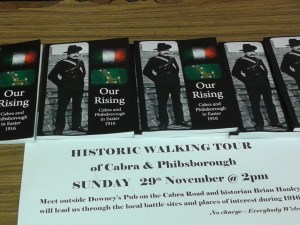  (Photo D. Breatnach(