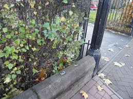 Wall Missing Railings showing lead