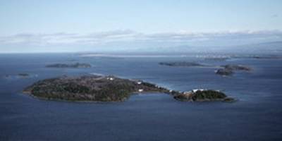 The island mass graveyard of Grosse Isle, Quebec, from a distance (Photo from Internet)