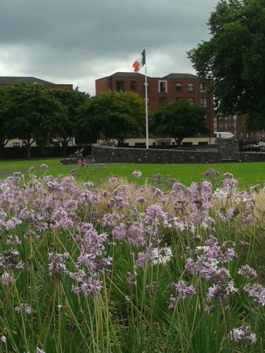 The Tricolour in this case would have been better replaced by the green flag of the United Irish with the harp in gold.