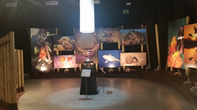 A BASQUE COUNTRY REGION – BIODIVERSITY AND CULTURE – rebelbreeze