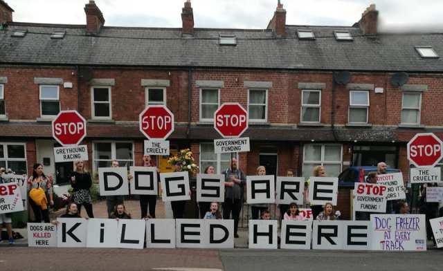 Dogs Are Killed Here Placard Letters