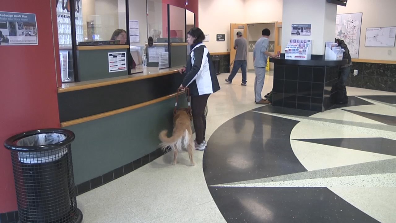 Service Counter Customer